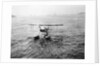 HMS 'Sopwith Schneider' (1915) by unknown