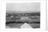 Harwich Force Sports Day, September 1916 by unknown