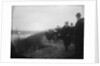 Spectators on the tow path on the south bank of the Thames near Hammersmith Bridge on Boat Race Day, 1907 by unknown
