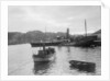 'Fusilier' (Br, 1888) paddle steamer (West coast of Scotland services), David MacBrayne Ltd by unknown