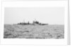 'Fiji' (1939) by Unknown