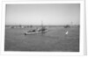 'Ierax' (1911) moored in Alexandria harbour by unknown