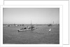 'Ierax' (1911) moored in Alexandria harbour by unknown
