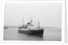 'Columba' (Br, 1878) paddle steamer, (Glasgow - Ardrishaig service), David MacBrayne by unknown