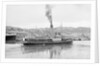 The 'Royal Iris' (Br, 1906) under way in Cork harbour, dressed overall by unknown