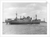 Photograph of cargo liner 'St. Essylt' (1948) in May 1955, under way on the River Thames at Tilbury, bound out in ballast by unknown