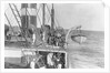 Deck and lifeboat view aboard cargo liner 'Craftsman' (Br, 1897), Charente S S Co Ltd by unknown