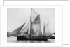 The pilot ketch 'Vigilant' by unknown