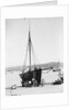 Pilot No. 8, the 'Vincent' (Br, 1852) on the beach at Falmouth by unknown