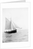Pilot No. 10 (Br, 1852) under sail by unknown