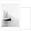 Pilot No. 10 (Br, 1852) under sail by unknown