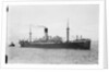 Photograph of the ship HMS Laomedon (1912) by unknown