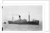 Photograph of the ship HMS Laomedon (1912) by unknown