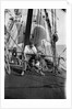 Alan Villiers aboard the 'Grace Harwar' by Alan Villiers