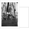 Alan Villiers aboard the 'Grace Harwar' by Alan Villiers