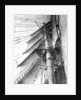 On board the 'Parma': looking aloft on the Mizzen, the interlacing stays supporting the mast by Alan Villiers