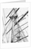 Clear to sail! The lean yards stripped for action by Alan Villiers