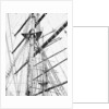 Clear to sail! The lean yards stripped for action by Alan Villiers