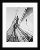 Apprentices on the bowsprit by Alan Villiers