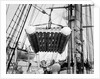 The life raft from 'Elingamite' (1887) being hoisted off the upper deck of HMS 'Penguin' (1876) by Willoughby Pudsey Dawson