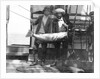 Two crew with large fish onboard HMS 'Penguin' (1876) by Willoughby Pudsey Dawson