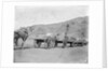 Camel carts lined up at Aden by Kenneth Hurlstone Jones