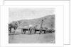 Camel carts lined up at Aden by Kenneth Hurlstone Jones