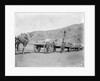 Camel carts lined up at Aden by Kenneth Hurlstone Jones