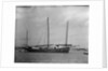 A Lorcha at anchor off Shanghai. by Kenneth Hurlstone Jones