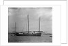 A Lorcha at anchor off Shanghai. by Kenneth Hurlstone Jones