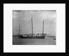 A Lorcha at anchor off Shanghai. by Kenneth Hurlstone Jones