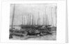 Junks and sampans near the French Concession, Shanghai by Kenneth Hurlstone Jones
