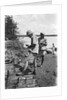 A British government official checking mangrove poles by Alan Villiers