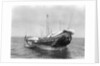 A baggala at anchor off Zanzibar discharging her cargo by Alan Villiers