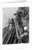 Unloading mangrove poles from the 'Triumph of Righteousness' by Alan Villiers