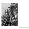 Unloading mangrove poles from the 'Triumph of Righteousness' by Alan Villiers