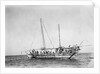 A crowded Kuwaiti pearling shu'i during a break from diving by Alan Villiers