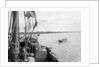 Towing the 'Triumph' down the Rufiji by Alan Villiers