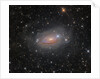 M63: Star Streams and the Sunflower Galaxy by Oleg Bryzgalov