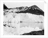 Hamberg Glacier, Moraine Fjord, South Georgia by unknown