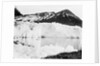 Hamberg Glacier, Moraine Fjord, South Georgia by unknown