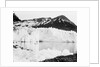 Hamberg Glacier, Moraine Fjord, South Georgia by unknown
