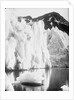 The snout of Hamberg Glacier, Moraine Fjord, South Georgia by unknown
