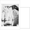 The snout of Hamberg Glacier, Moraine Fjord, South Georgia by unknown
