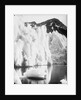 The snout of Hamberg Glacier, Moraine Fjord, South Georgia by unknown
