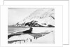A view along the shore with penguins in the foreground, South Georgia Island by unknown
