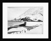 A view along the shore with penguins in the foreground, South Georgia Island by unknown