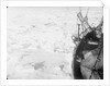 The ice floes, looking forward from the port bow of 'Endurance' (1912) by unknown