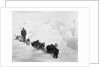 A seven-dog sledge team on the ice with unidentified crew member by unknown