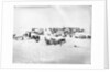 Ocean Camp established on the ice, Weddell Sea, Antarctica by unknown